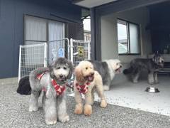 外庭にて
